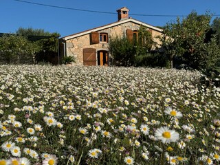 Villa Krk (Stadt) Enregistrement extérieur 18