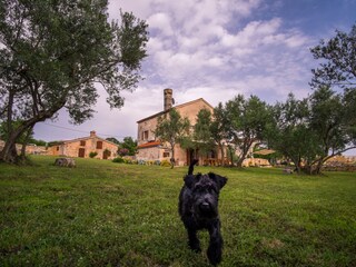 Villa Krk (Stadt) Grabación al aire libre 4