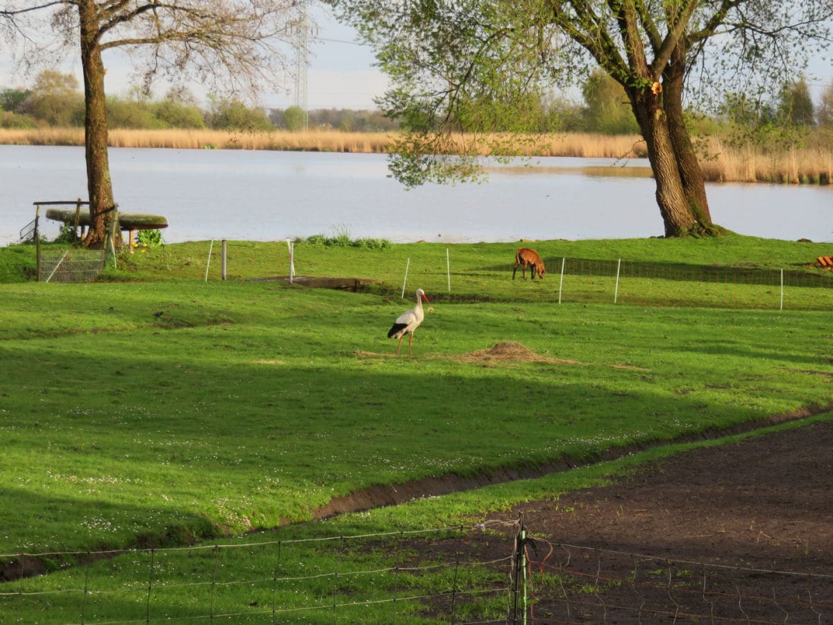 Blick aus Sandwater