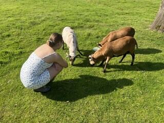 Holiday apartment Ihlow Outdoor Recording 6