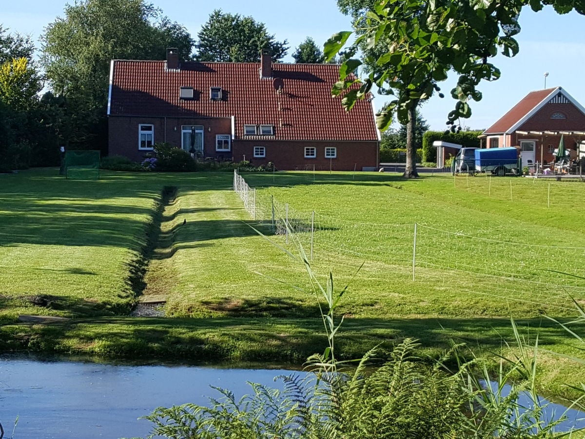 Die grosse Wiese lädt zum Spielen ein