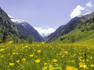 Appartamento per vacanze Rauris Ambiente 9