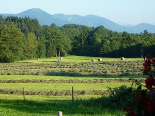 Blick vom Balkon