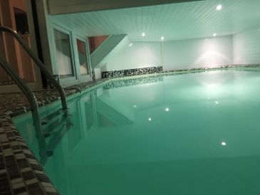 Ferienhaus Poolvilla Schwanensee