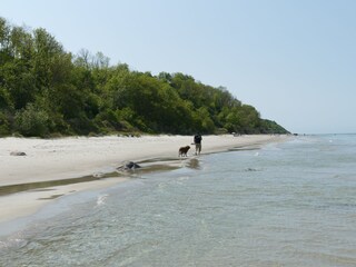 Erholung am Strand