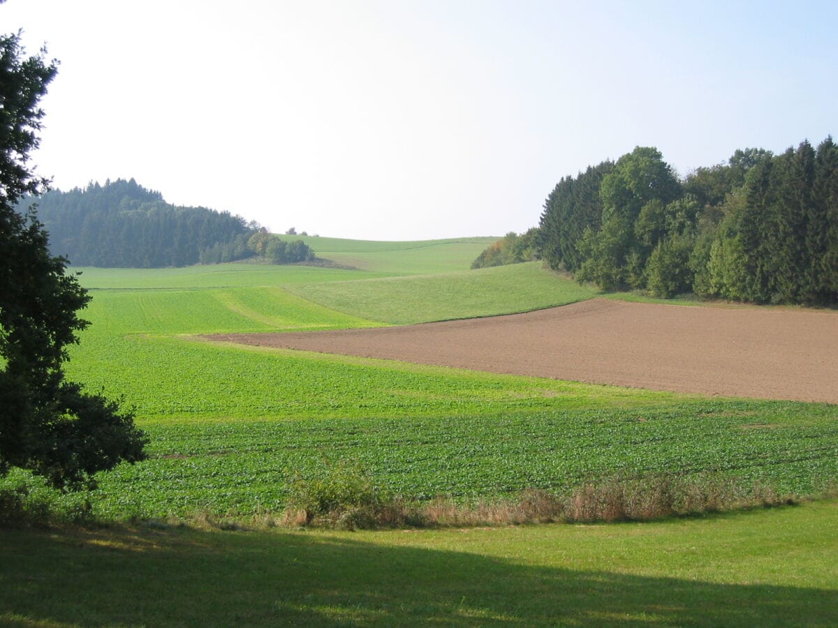 Wiesen und Wälder am Ortsrand von Hattenweiler