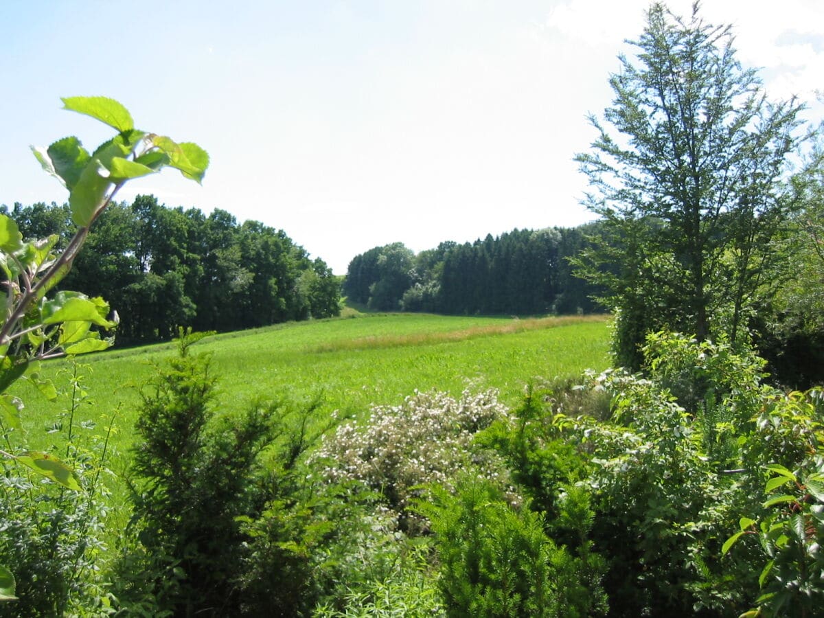 Blick vom Balkon Richtung Heiligenberg