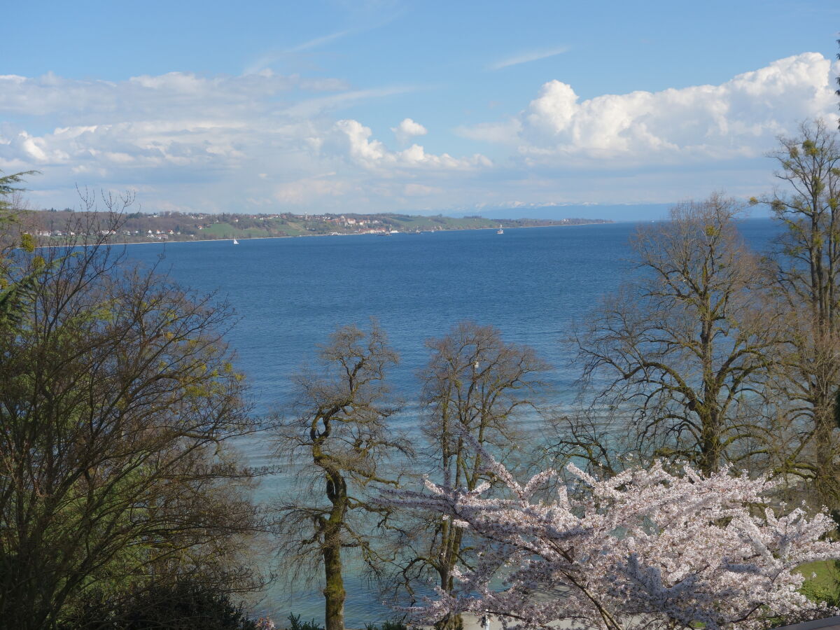 Blick von der Mainau auf den Bodensee