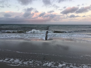 Ferienhaus Zingst Umgebung 19