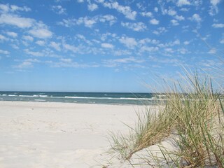 am Nordstrand von Prerow