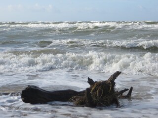 Sturm am Weststrand