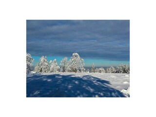 Vakantieappartement Winterberg Buitenaudio-opname 2