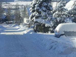 Ferienwohnung Huis Meiseneck