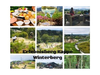 Vakantieappartement Winterberg Omgeving 19