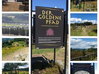 Der goldene Pfad