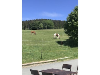 Natur Pur Hildfeld