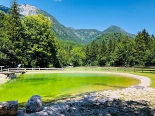 Casa per le vacanze Ebensee Registrazione all'aperto 2