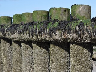 Am Strand