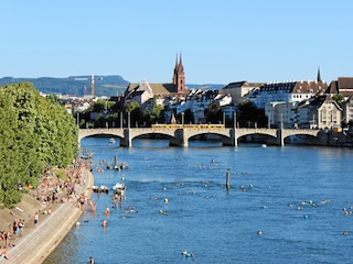 Basel mit Rhein und Münster