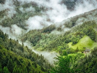 Vakantieappartement Bad Bellingen Omgeving 23