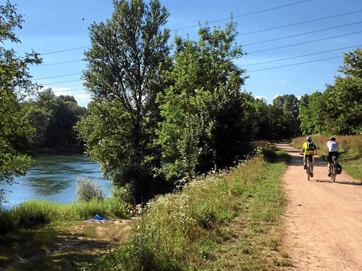 Fahrradttouren am Rhein ohne Steigungen