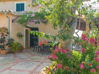 Finca Bunyola Buitenaudio-opname 20