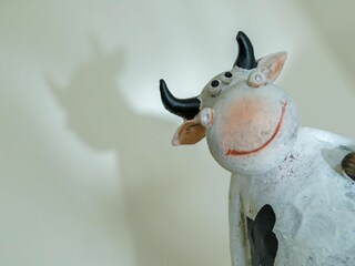 Apartment St. Peter-Ording Ausstattung 32