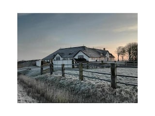 Ferienwohnung St. Peter-Ording Außenaufnahme 5