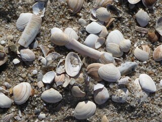 Ferienwohnung St. Peter-Ording Umgebung 24
