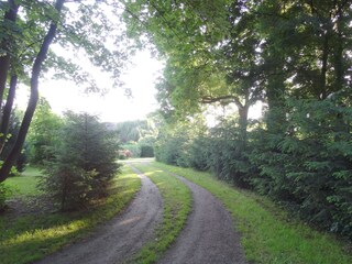 Access to the wooden house Carefree