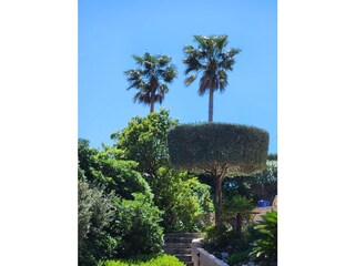 Casa per le vacanze Cavalaire-sur-Mer Registrazione all'aperto 5