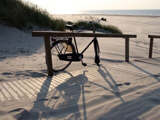 Der Ginsterpad erreicht den Strand