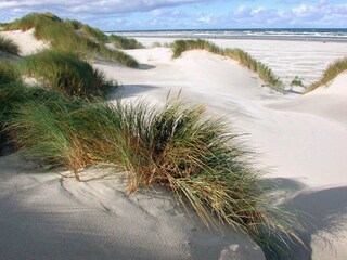 Dünen an der Wilhelmshöhe