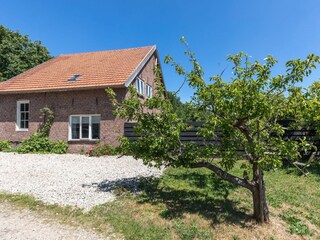 Casa per le vacanze Burgh-Haamstede Registrazione all'aperto 6