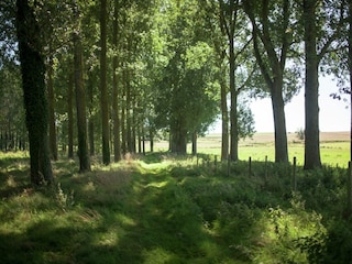 Vakantiehuis Auxi-le-Château Omgeving 20