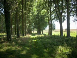 Maison de vacances Auxi-le-Château Environnement 22