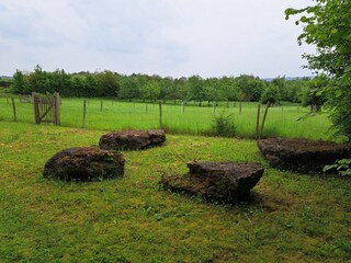 Vakantiehuis Couvin Buitenaudio-opname 6