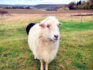 Maison de vacances Couvin Enregistrement extérieur 9