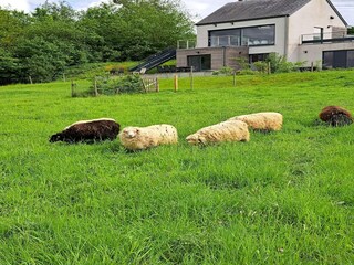 Casa per le vacanze Couvin Registrazione all'aperto 1