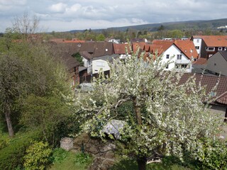 Cottage Herzberg am Harz Outdoor Recording 13