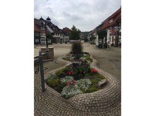 Vakantiehuisje Herzberg am Harz Omgeving 38