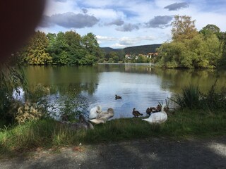 Cottage Herzberg am Harz Outdoor Recording 12