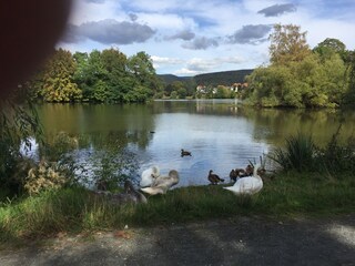 Vakantiehuisje Herzberg am Harz Buitenaudio-opname 10