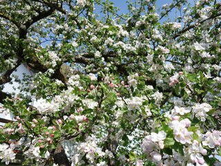 Casale Herzberg am Harz Registrazione all'aperto 18