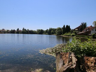 Vakantiehuisje Herzberg am Harz Omgeving 30