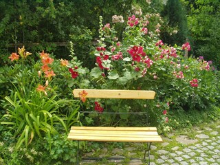 Cottage Herzberg am Harz Outdoor Recording 11