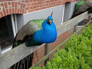 Casa de campo Herzberg am Harz Entorno 35