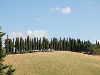 Casa per le vacanze Montaione Ambiente 15