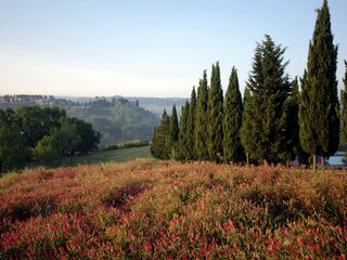 Casa per le vacanze Montaione Ambiente 16