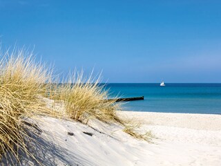 Ostseestrand in der Nähe